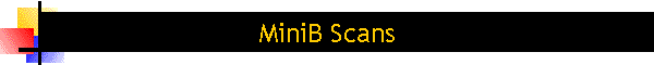 MiniB Scans
